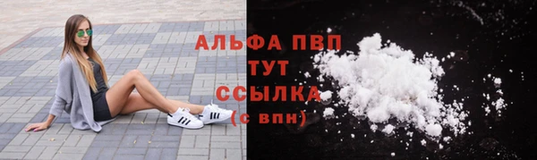 твердый Арсеньев