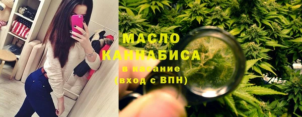 твердый Арсеньев